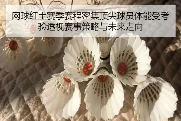 wang-qiu-hong-tu-sai-ji-sai-cheng-mi-ji-ding-jian-qiu-yuan-ti-neng-shou-kao-yan-tou-shi-sai-shi-ce-lve-yu-wei-lai-zou-2-142.jpg
